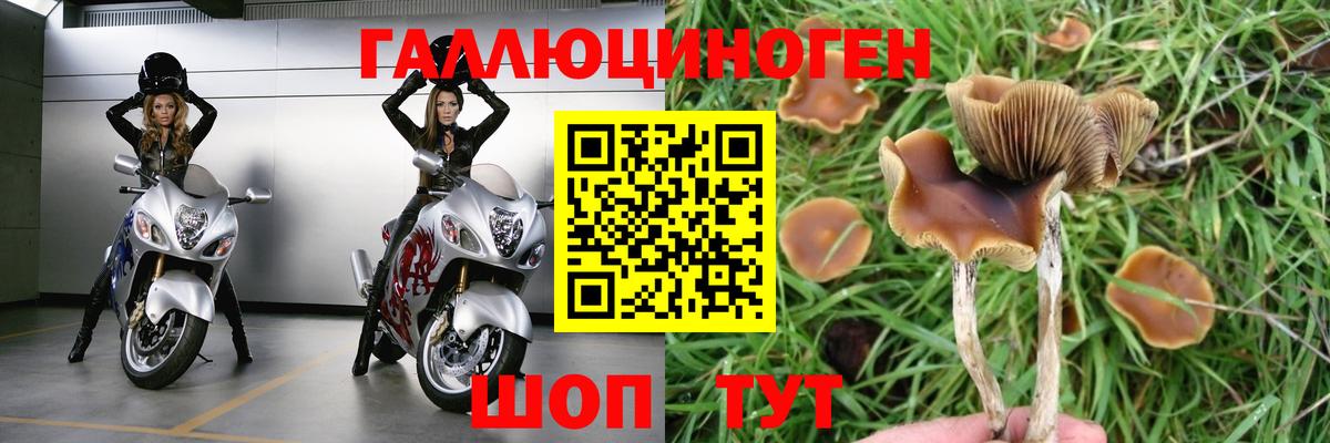 Галлюциногенные грибы GOLDEN TEACHER Миасс